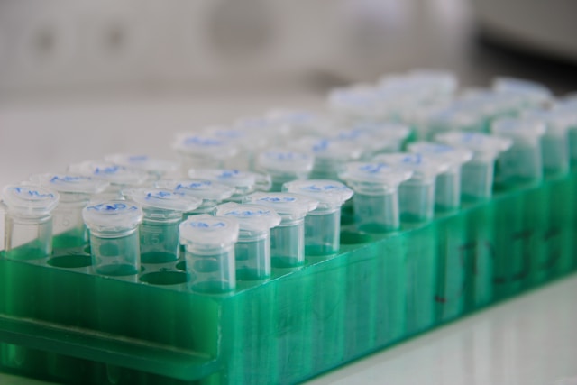 Rack with eppendorfs