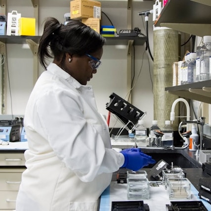 Scientist performing an experiment in a laboratory