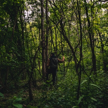 Scientist going through a forest